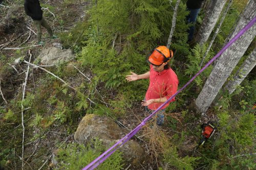 David Larsson och skogen i Rejmyre