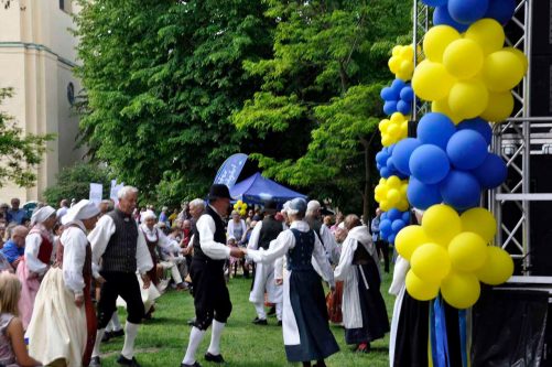 Nationaldagsfirandet fyllde Olaiparken