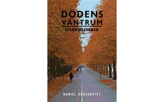 Allvaret djupnar hos Daniel Söderqvist (recension)